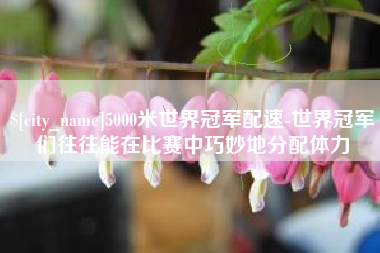 阿勒泰5000米世界冠军配速-世界冠军们往往能在比赛中巧妙地分配体力