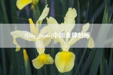 阿勒泰中国金牌包括