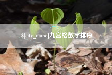 阿勒泰九宫格数字排序