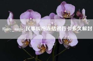 阿勒泰民事纠纷冻结银行卡多久解封