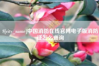 阿勒泰中国消防在线官网电子版消防证怎么查询