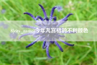 阿勒泰今年九宫格的不利颜色