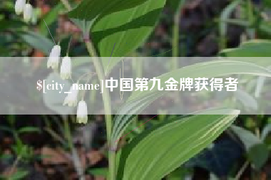 阿勒泰中国第九金牌获得者