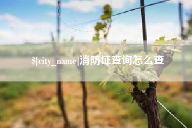 阿勒泰消防证查询怎么查