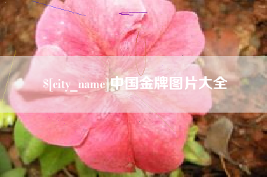 阿勒泰中国金牌图片大全