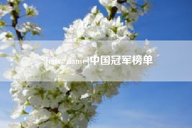 阿勒泰中国冠军榜单