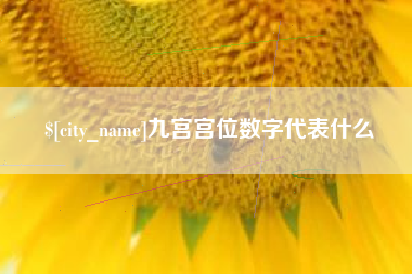阿勒泰九宫宫位数字代表什么