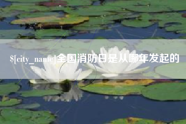 阿勒泰全国消防日是从哪年发起的