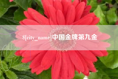 阿勒泰中国金牌第九金