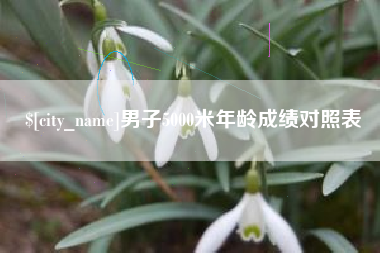 阿勒泰男子5000米年龄成绩对照表