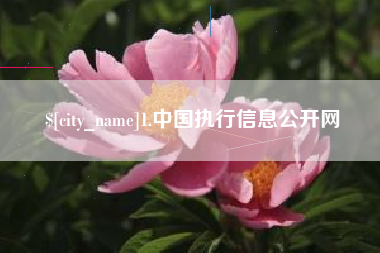 阿勒泰1.中国执行信息公开网