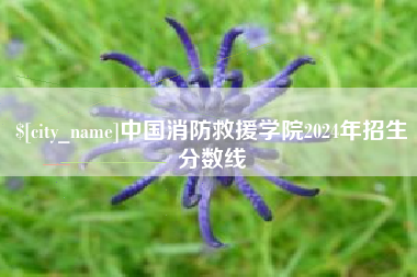 阿勒泰中国消防救援学院2024年招生分数线