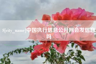 阿勒泰中国执行信息公开网会发信息吗