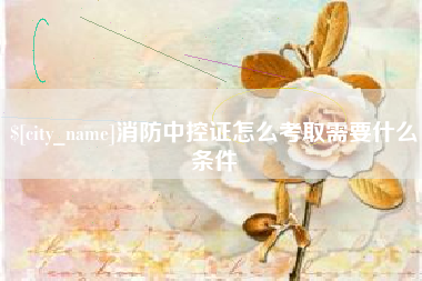 阿勒泰消防中控证怎么考取需要什么条件