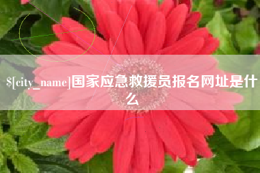阿勒泰国家应急救援员报名网址是什么