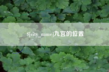 阿勒泰九宫的位置