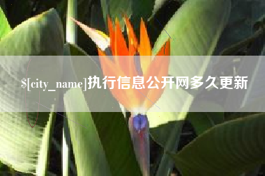 阿勒泰执行信息公开网多久更新