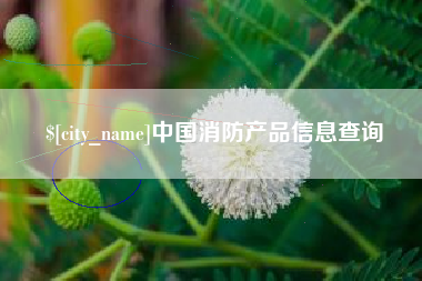 阿勒泰中国消防产品信息查询