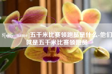 阿勒泰五千米比赛领跑员是什么-他们就是五千米比赛领跑员
