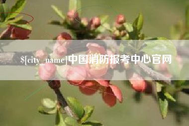 阿勒泰中国消防报考中心官网