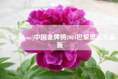 阿勒泰中国金牌榜2024巴黎奥运会最新