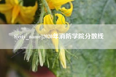 阿勒泰2020年消防学院分数线