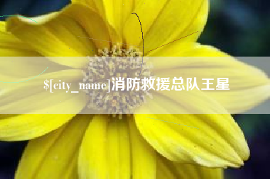 阿勒泰消防救援总队王星