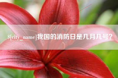阿勒泰我国的消防日是几月几号？