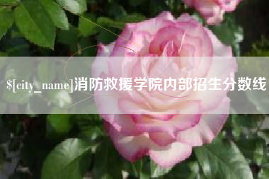 阿勒泰消防救援学院内部招生分数线