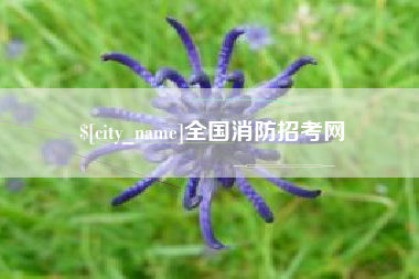 阿勒泰全国消防招考网