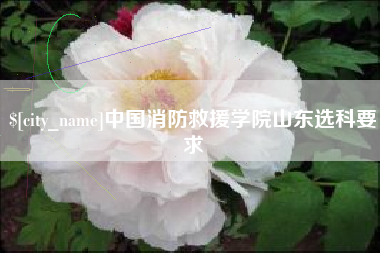 阿勒泰中国消防救援学院山东选科要求