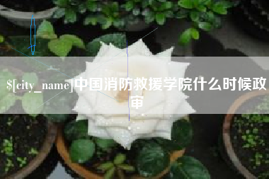 阿勒泰中国消防救援学院什么时候政审