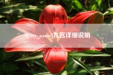 阿勒泰九宫详细说明