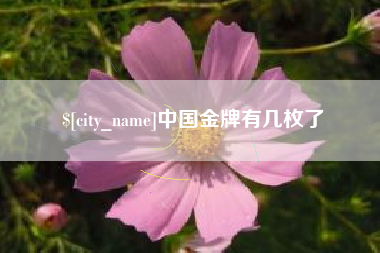 阿勒泰中国金牌有几枚了