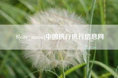 阿勒泰中国执行执行信息网
