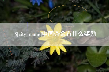 阿勒泰中国夺金有什么奖励