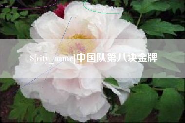 阿勒泰中国队第八块金牌