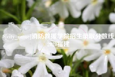 阿勒泰消防救援学院招生录取分数线2020福建