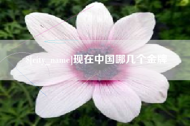 阿勒泰现在中国哪几个金牌