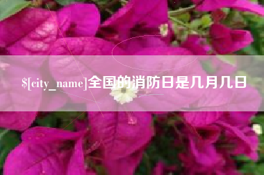 阿勒泰全国的消防日是几月几日