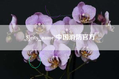 阿勒泰中国消防官方
