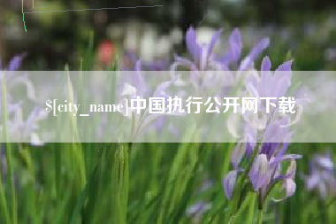 阿勒泰中国执行公开网下载