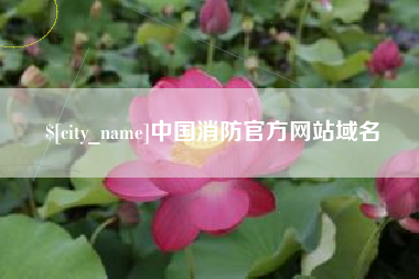 阿勒泰中国消防官方网站域名