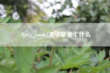 阿勒泰王子豪是个什么