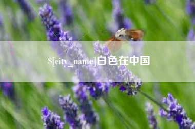 阿勒泰白色在中国