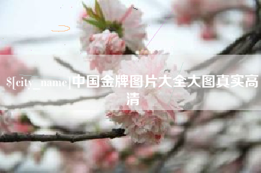 阿勒泰中国金牌图片大全大图真实高清