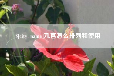 阿勒泰九宫怎么排列和使用