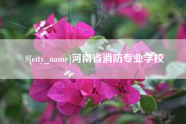 阿勒泰河南省消防专业学校