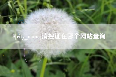 阿勒泰消控证在哪个网站查询