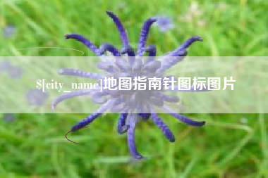 阿勒泰地图指南针图标图片